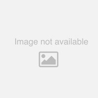 RFI Right Angle Clamp; Clamps 60-114mm Pipe